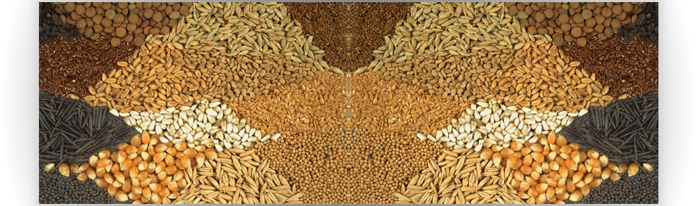 Изображение о нас